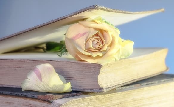 Un libro con una rosa entre sus páginas.