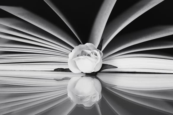 Poesía en homenaje del Día Nacional de la Persona Adulta Mayor | Biblioteca Nacional