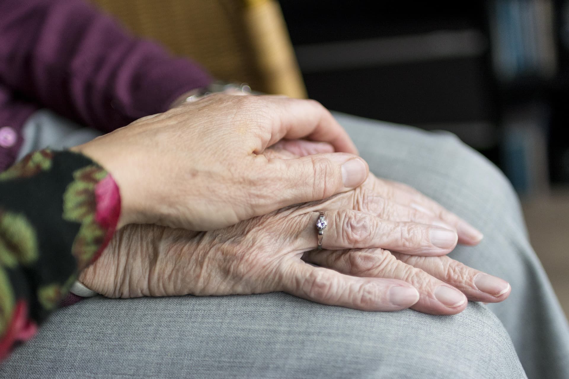 Equidad digital para las personas Adultas Mayores AI | Biblioteca Pública de Limón