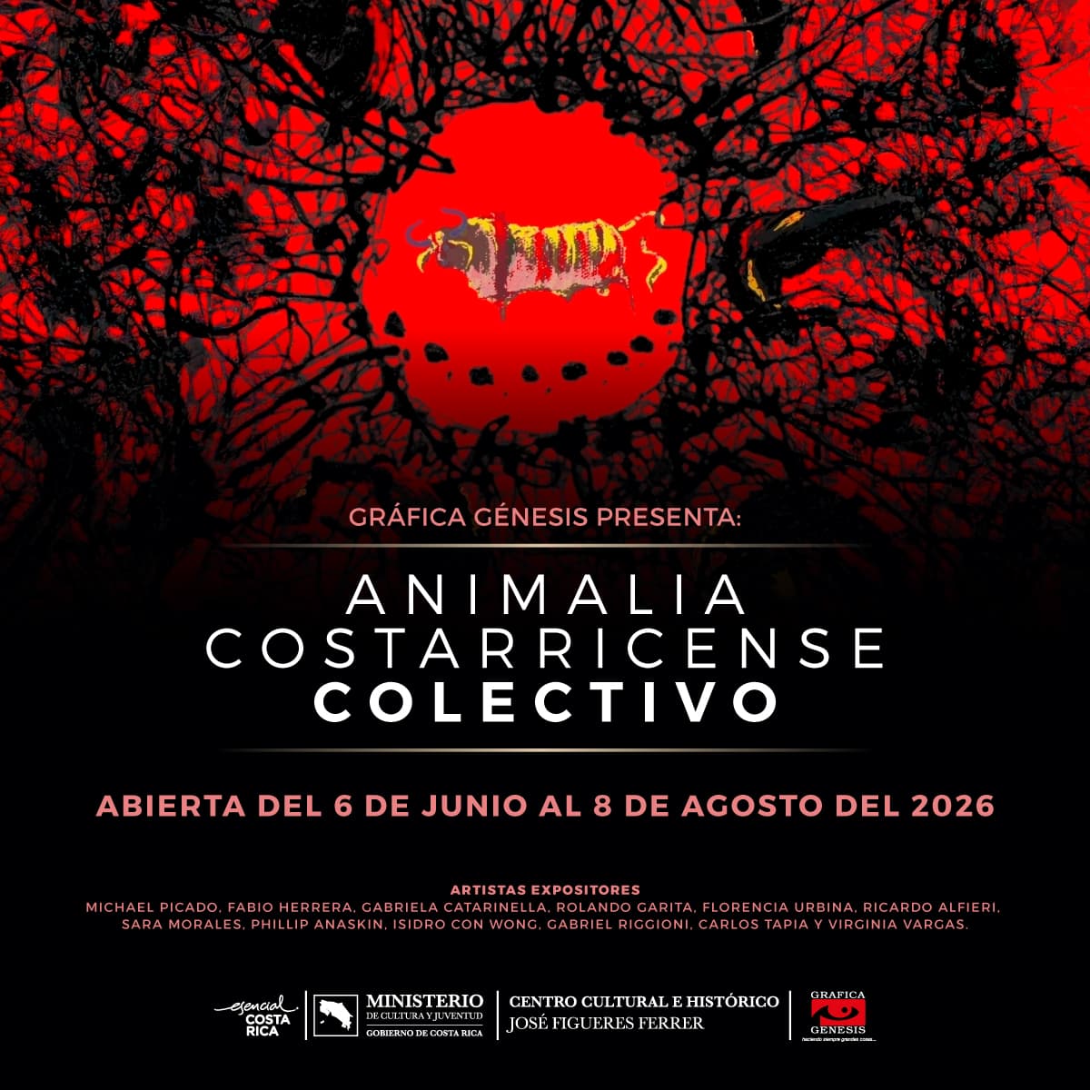 Exposición: Animalia costarricense