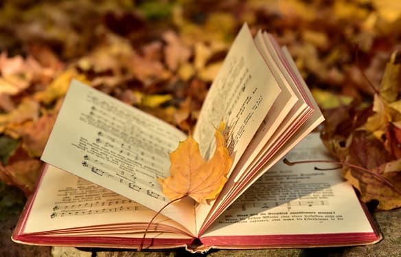 Un libro abierto sobre unas hojas en tonos naranja