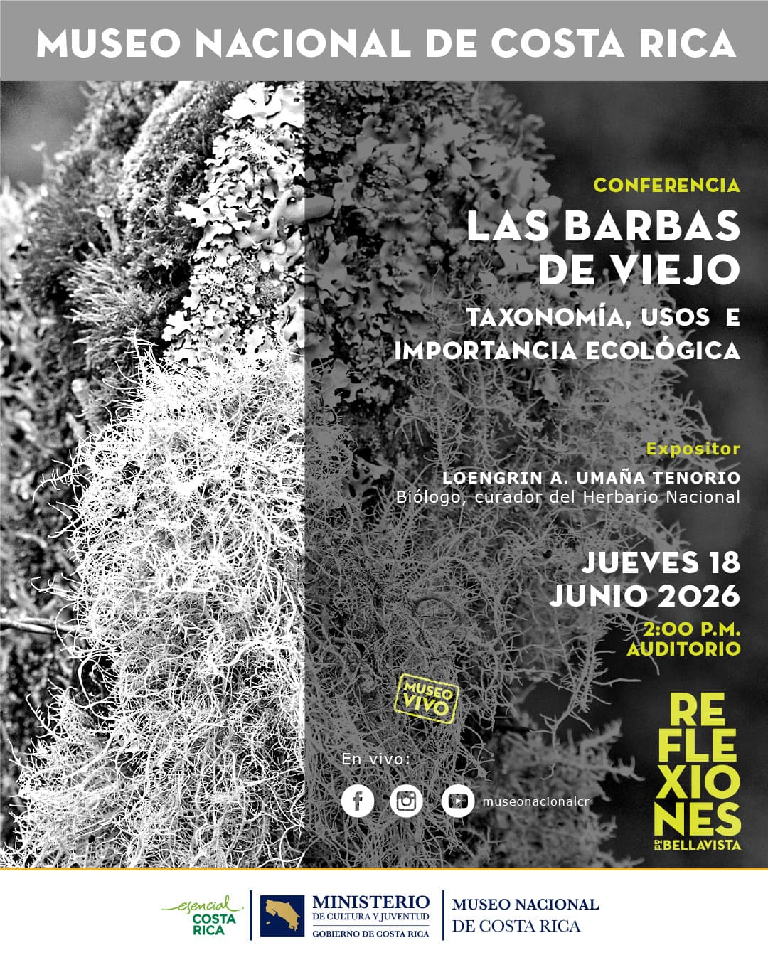 Conferencia: Barbas de Viejo , taxonomía, usos e importancia ecológica