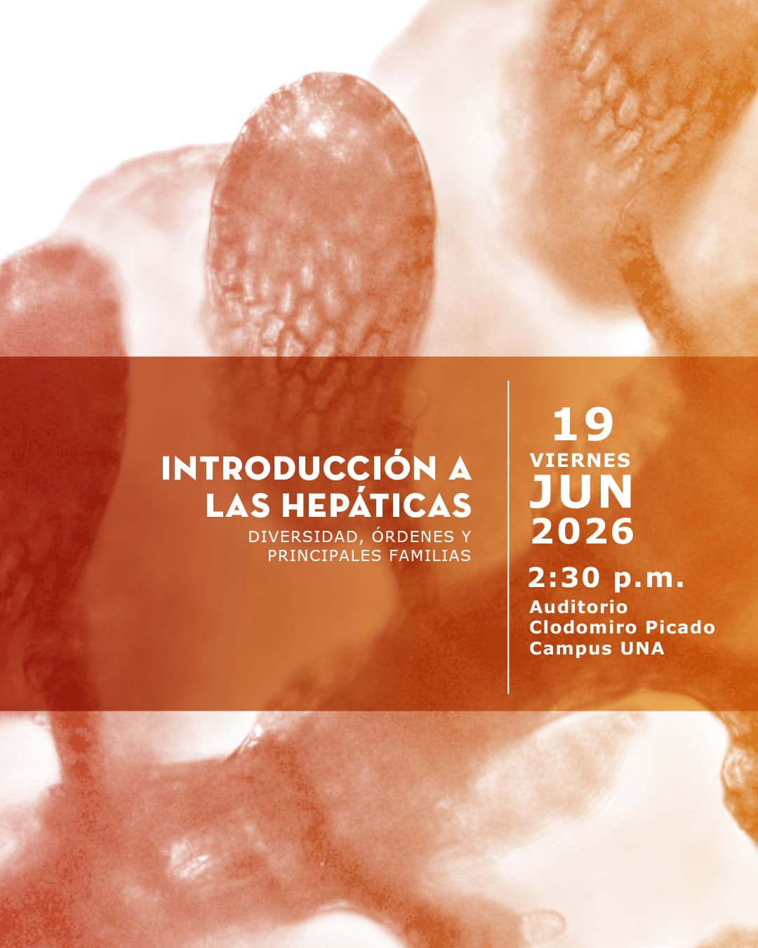 Conferencia: Introducción a las hepáticas: Diversidad, ordenes y principales familias