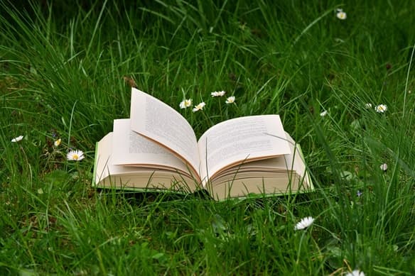 Un libro abierto sobre el cesped