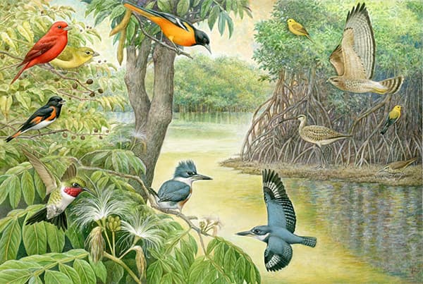 Ilustración de un manto acuífero con aves de diferentes especies.