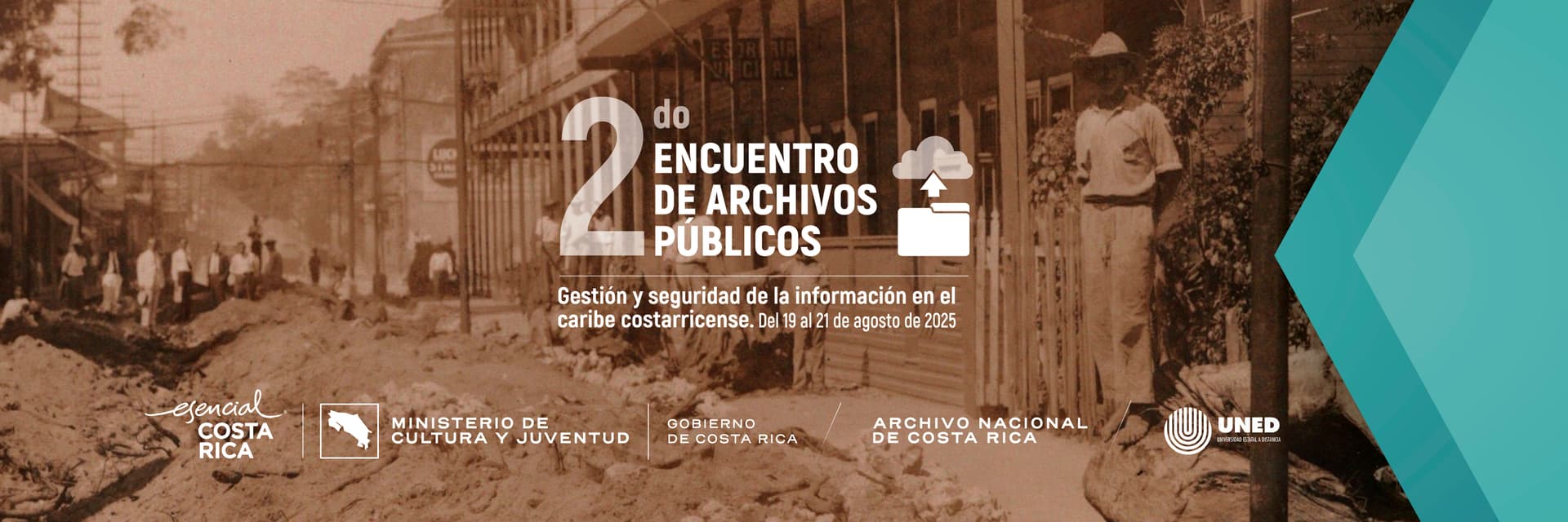 Fotografía de bananeras