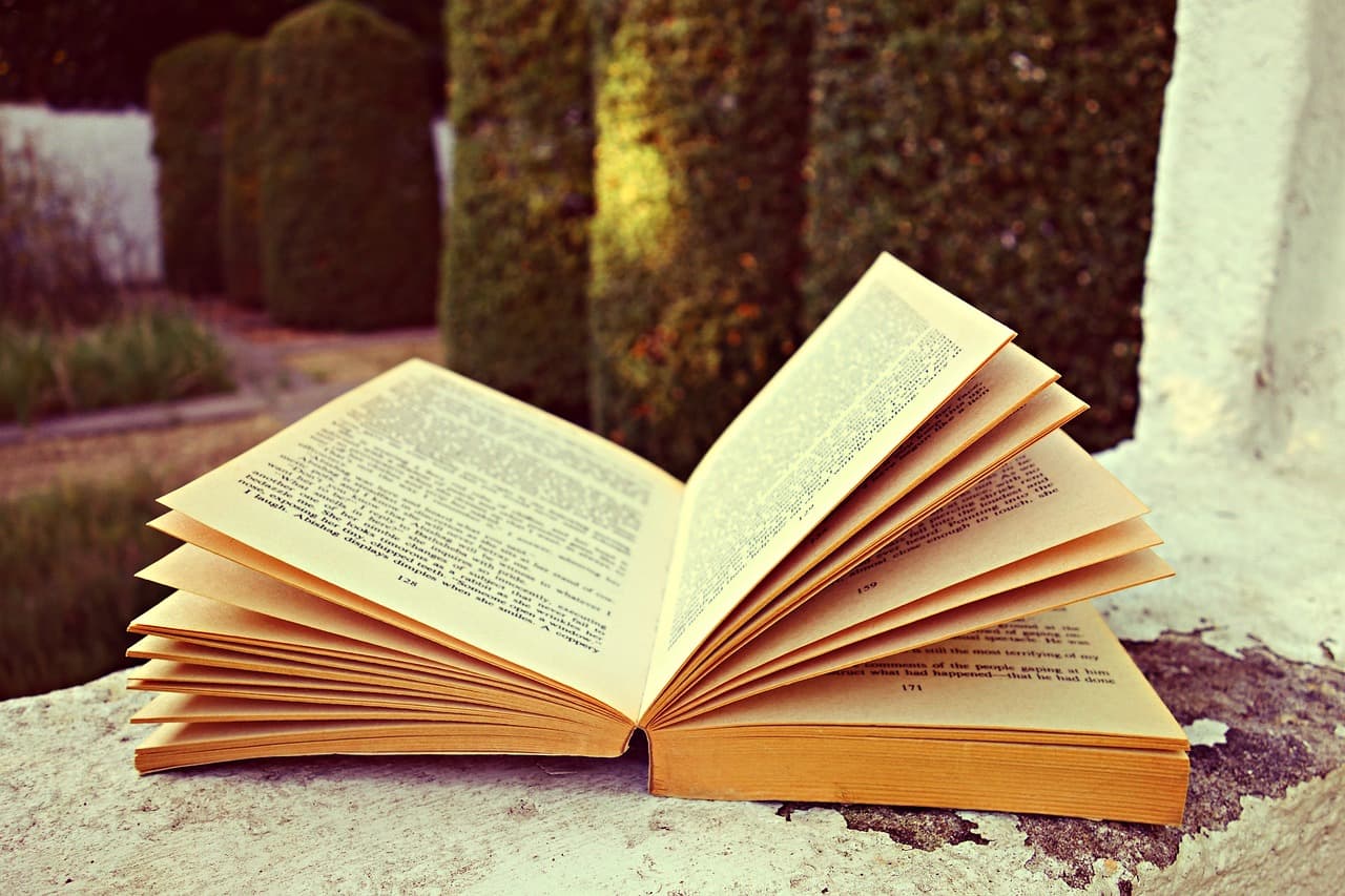 Un libro entreabierto
