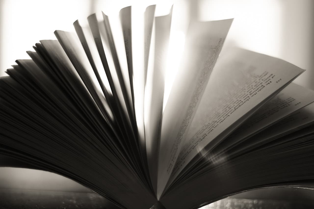 Un libro entreabierto