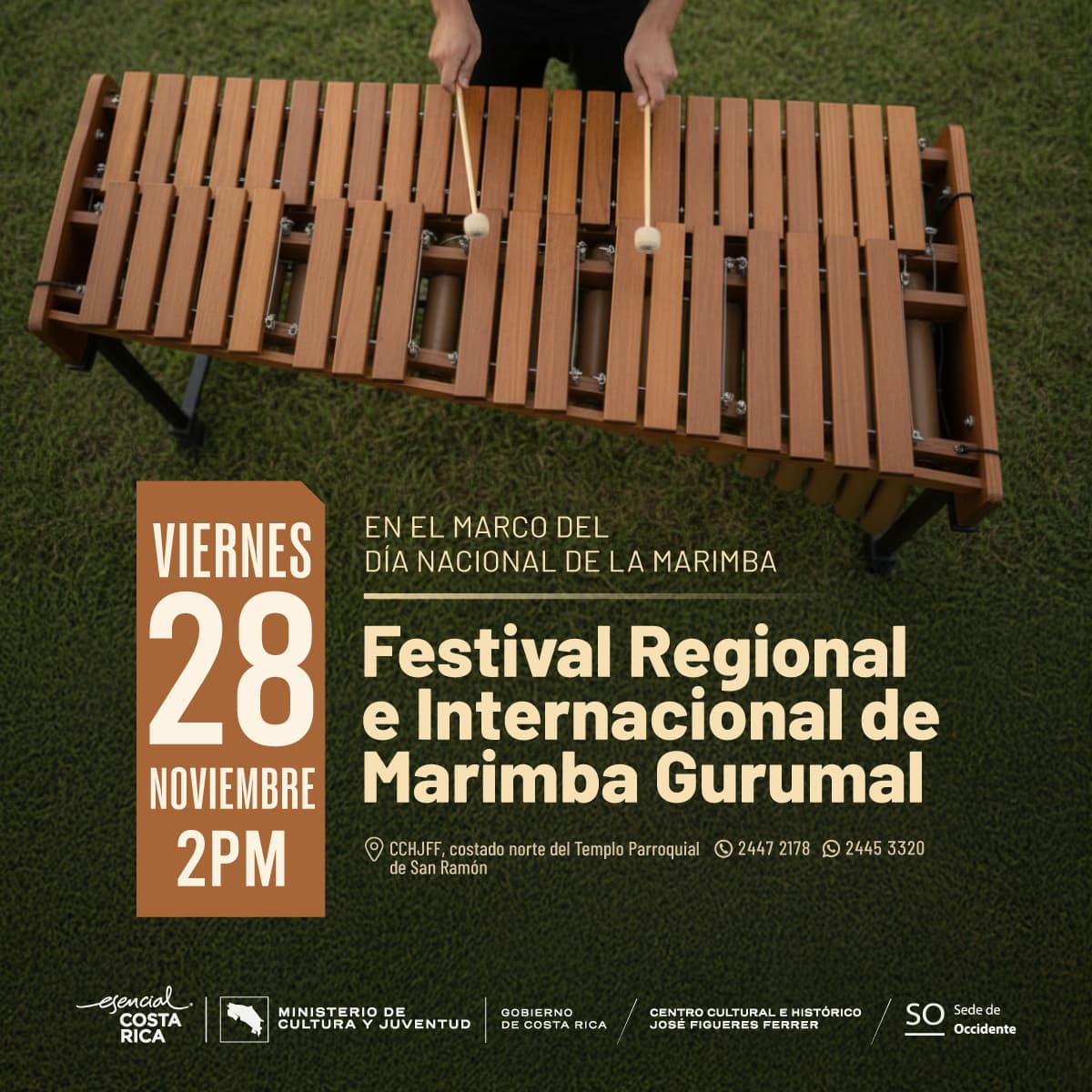 Festival de Marimba