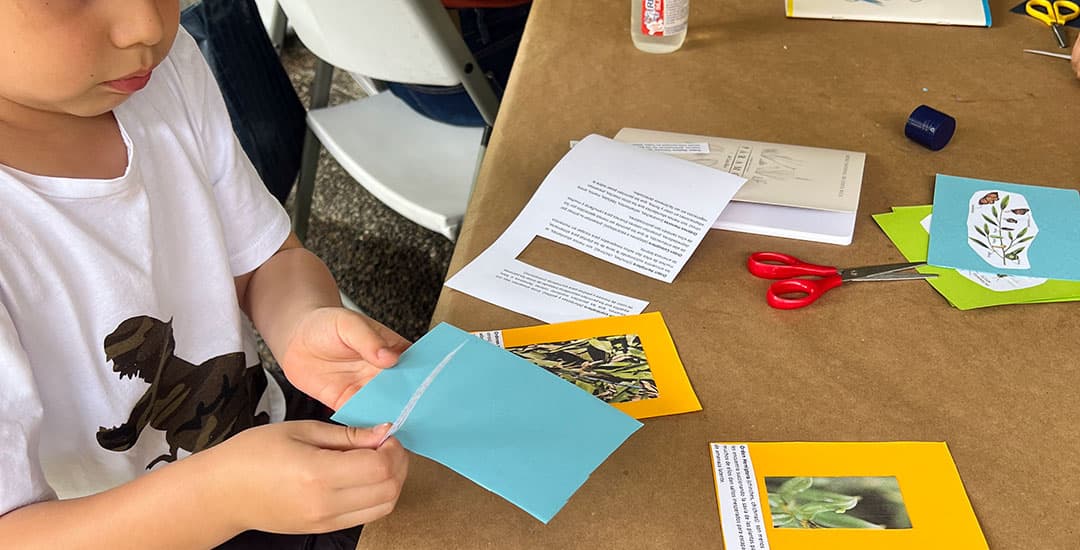 Cuentos y tradiciones costarricenses